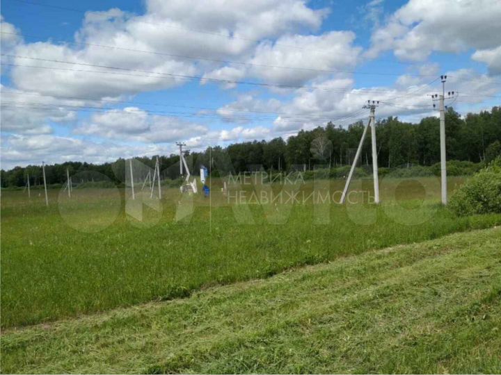 Участок 10 сот. (СНТ, ДНП)