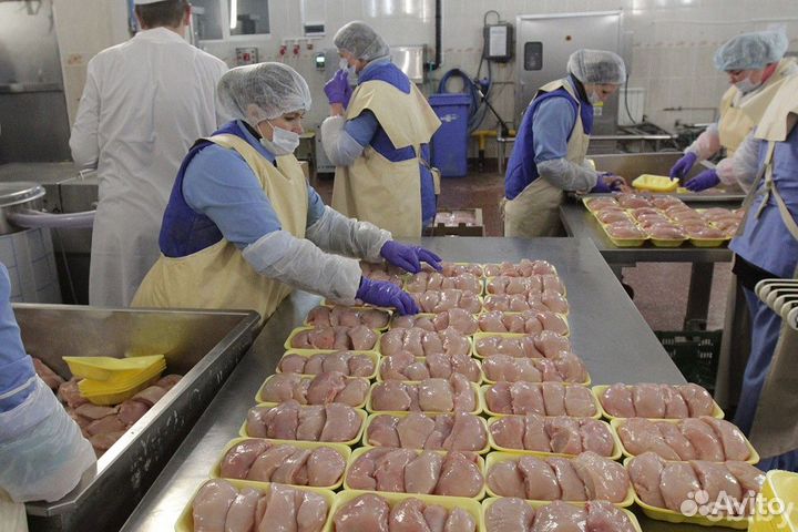 Маркировщик С хорошей оплатой