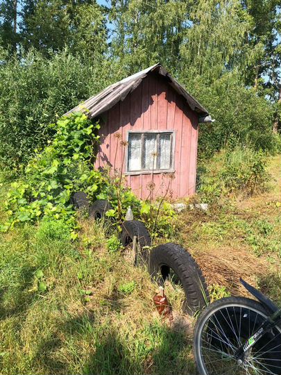 Участок 4,5 сот. (СНТ, ДНП)