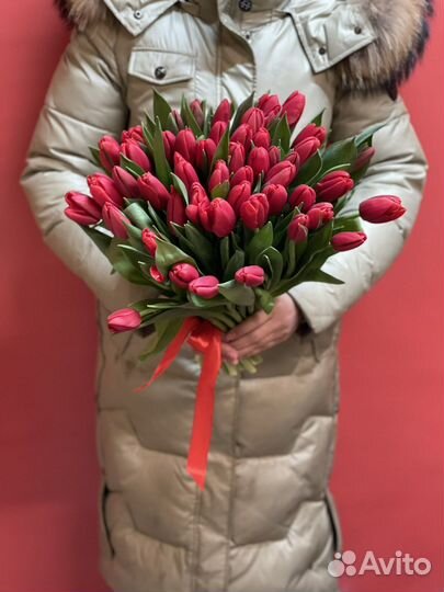 Тюльпаны оптом