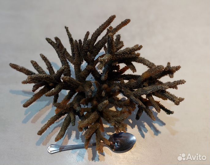 Камни-ракушечник,гроты,коралл для аквариума