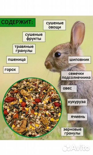 Корм для кроликов
