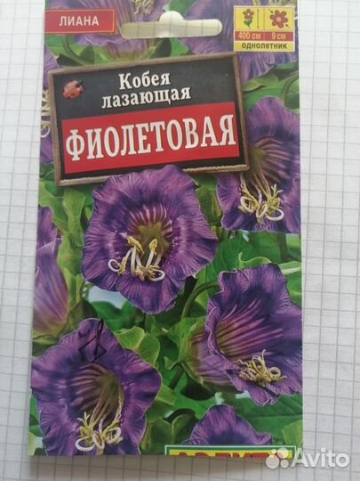 Кобея лазающая