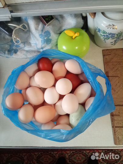 Домашние куриные яйца
