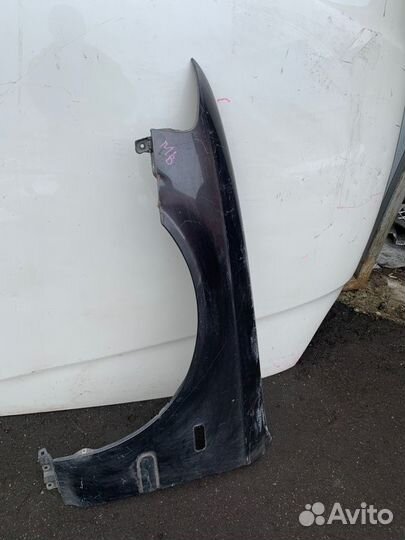 Крыло лев. Honda Domani