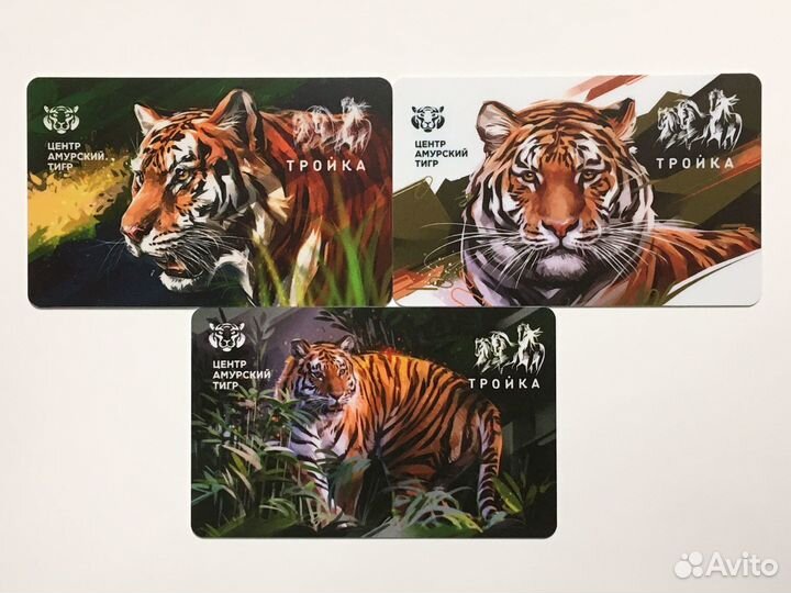 Центр Амурский тигр Тройка карта метро