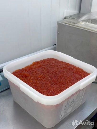 Икра красная опт