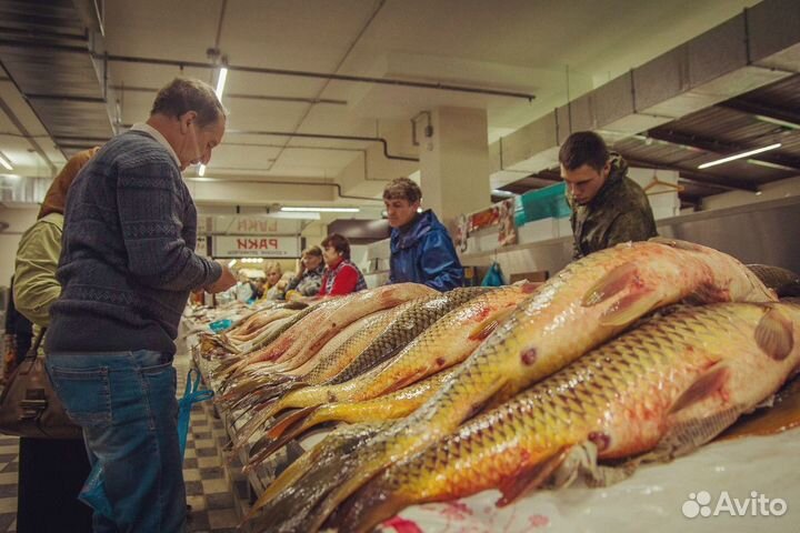 Продаётся готовый магазин Морской Запал