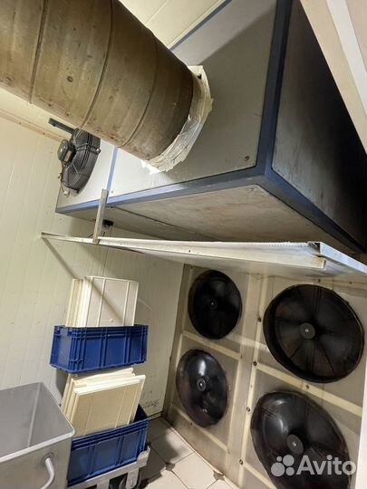 Камера сушки/ вялки для мяса, рыбы, овощей и др