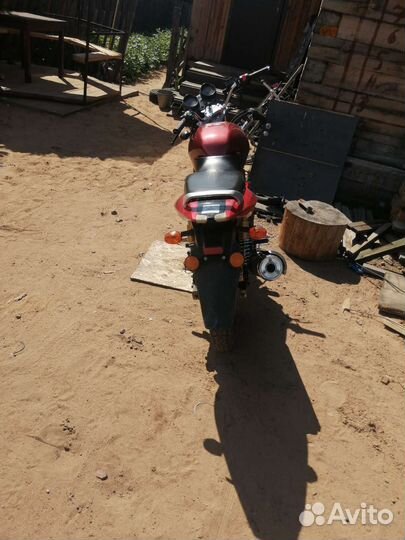 Рэйсер магнум 250 кубов