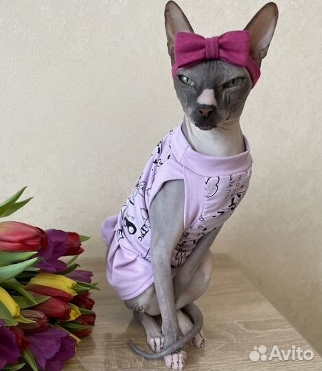 Одежда для сфинкса(кота/кошек/котят)