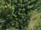 Бпла Съемка лесов - таксация объявление продам