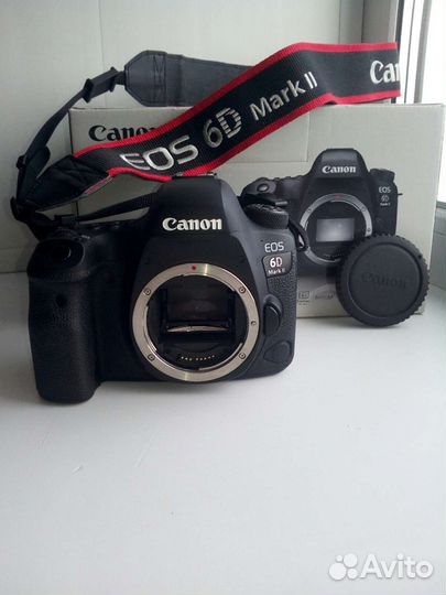 Зеркальный фотоаппарат canon 6D Mark 2 и объективы