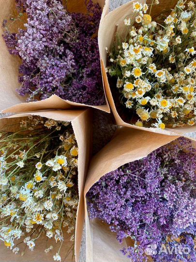 Лекарственные травы