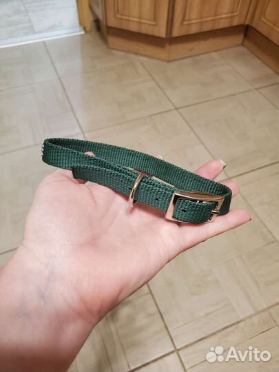 Новый собачий ошейник и поводок