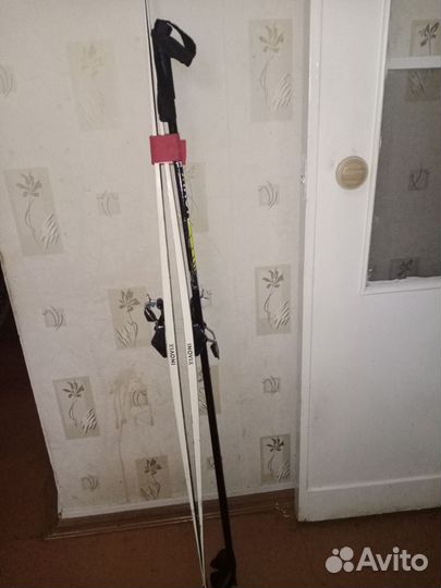 Беговые лыжи