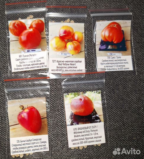 Рассада помидор