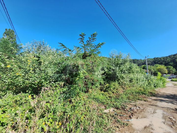 Участок 6 сот. (ИЖС)