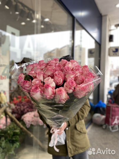 Эквадорский роза