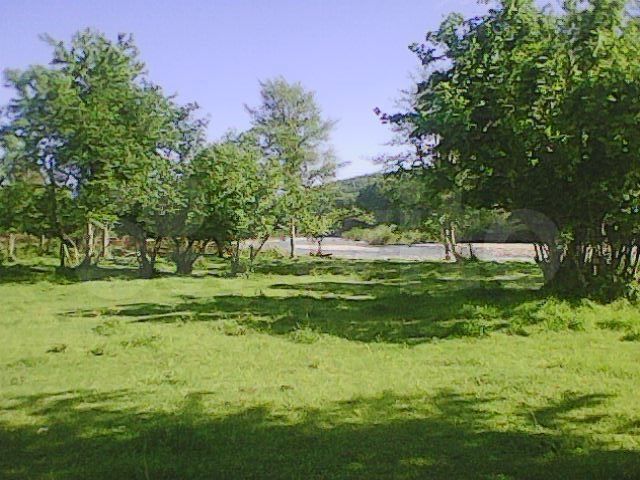 Участок 40 сот. (ИЖС)