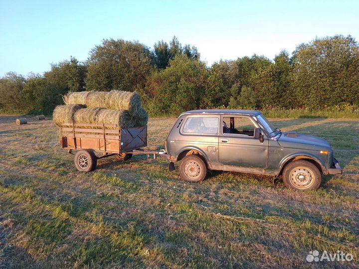 Продам сено в рулонах