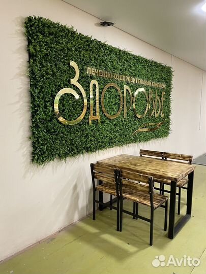 Озеленение пространства(офисов, ТЦ, ресторанов.)