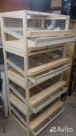 Брудер, клетки