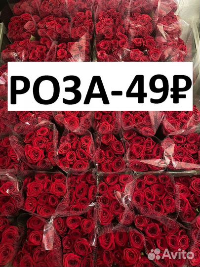 Цветы розы оптом и в розницу