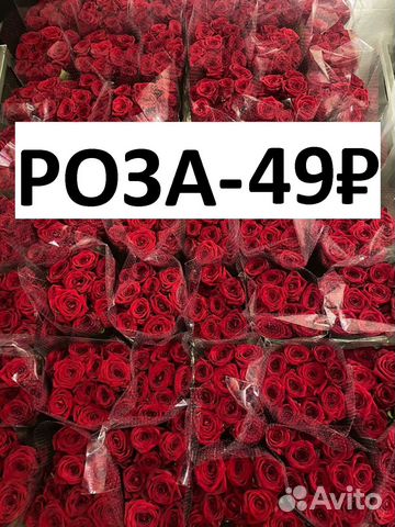 Цветы розы оптом и в розницу