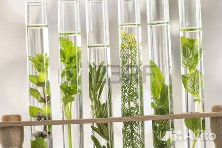 Гидролат сбор 2022-2023