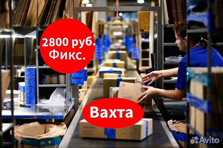 Работа с еженедельной оплатой