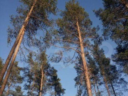 Участок 8 сот. (ИЖС)