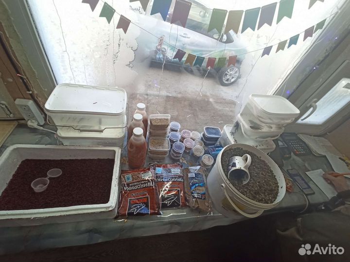 Черви для рыбалки