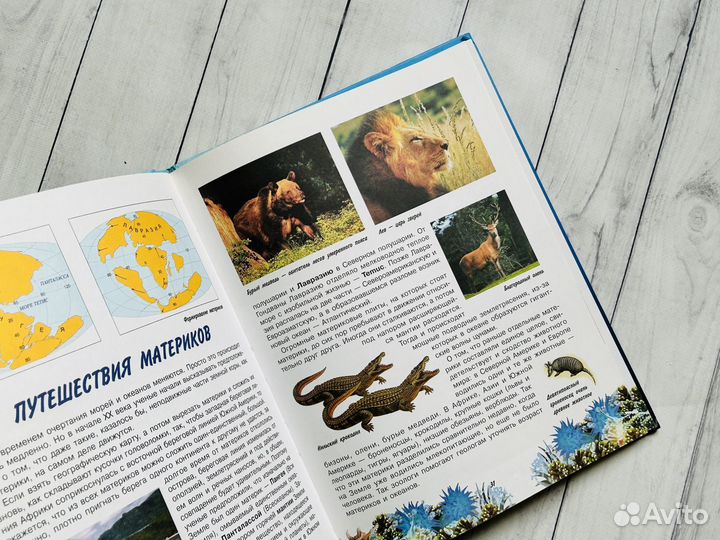 Моря и океаны