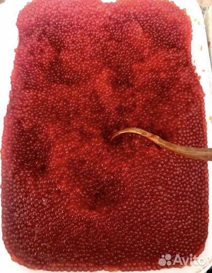 Икра Красная Малосоленая,Очень Вкусная Качество