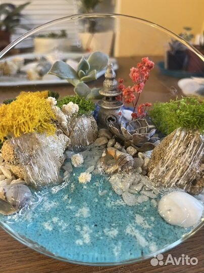 Флорариум из суккулентов. Маяк надежды