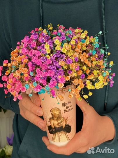 Радужная гипсофила в стаканчике