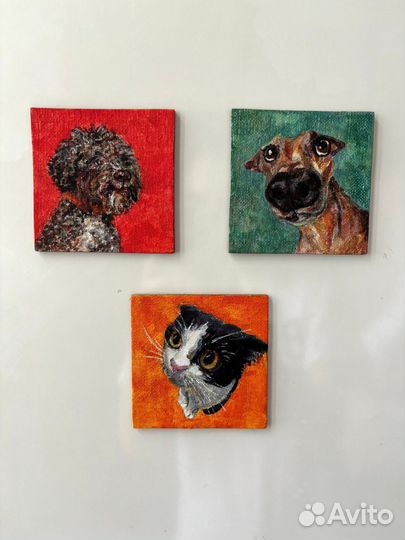 Портрет питомца по фото / коты, собаки, хомячки