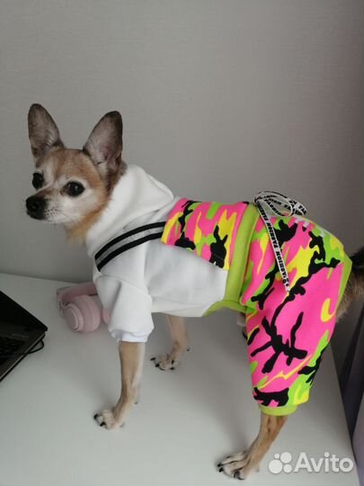 Одежда для собак, кошек