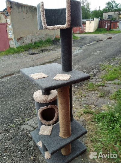 Когтеточка/кошачий комплекс