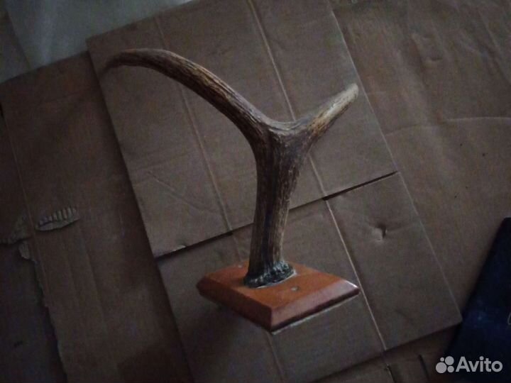 Старинная вешалка рога.1940-1950 годы