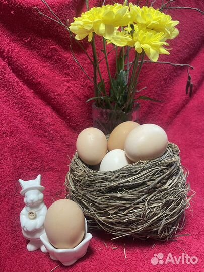 Пасхальный decor гнездо декор
