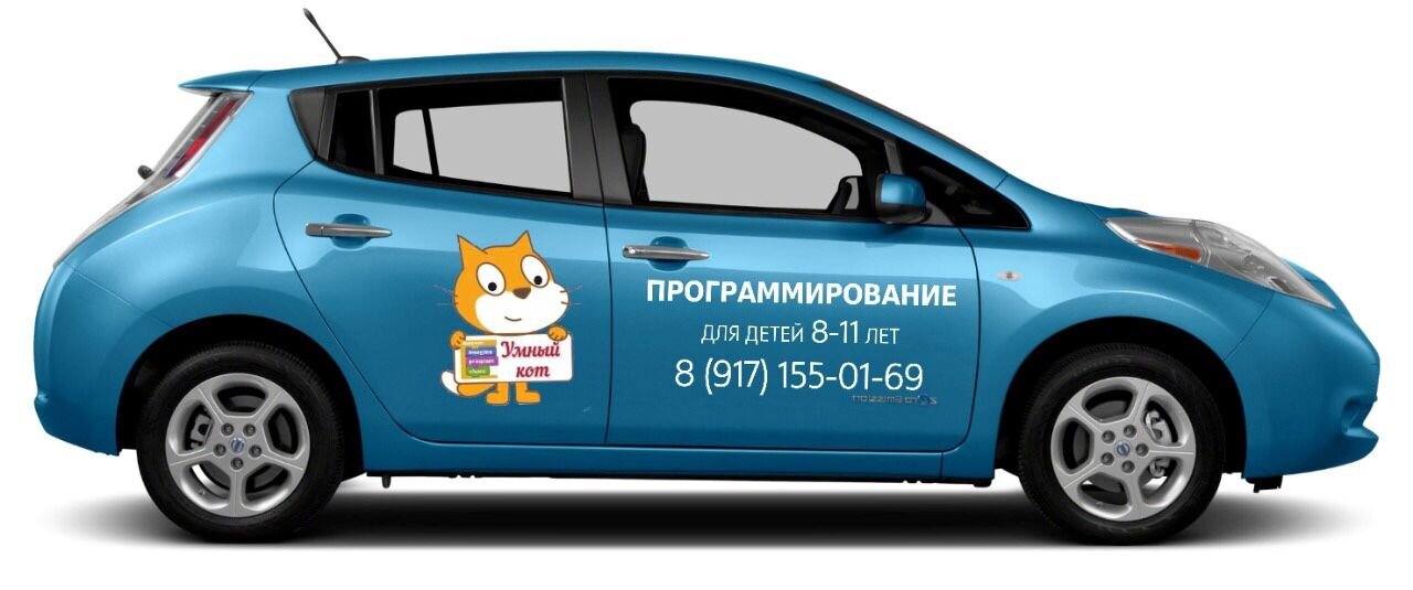 Nissan Leaf: фото владельца