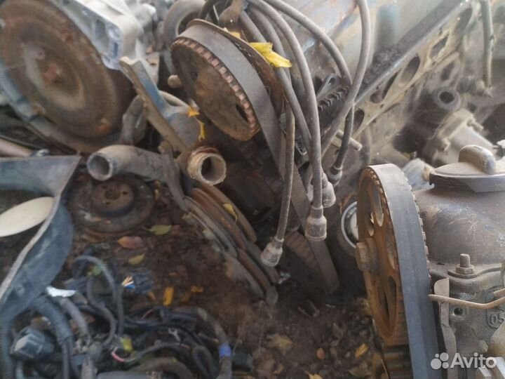 Форд Скорпио двигатель