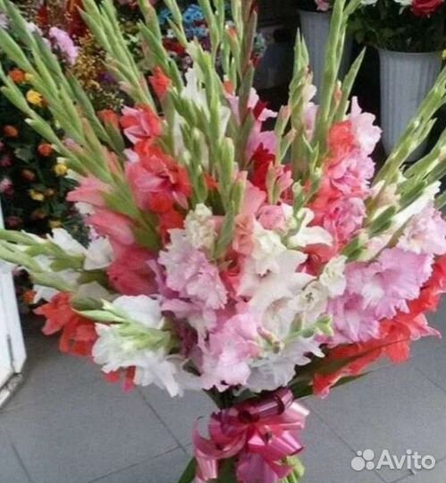 Букет из гладиолусов