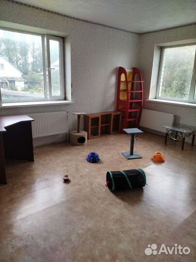 Передержка животных