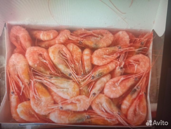 Икра, гребешок, креветка, печень трески, краб