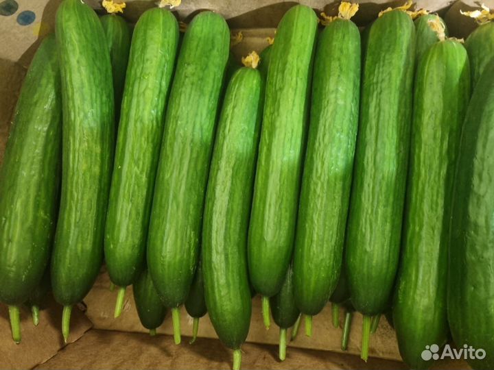 Овощи и фрукты,сухофрукты