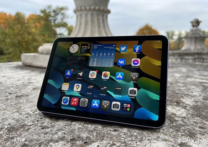 iPad mini 2021 (Space Gray) 256GB(Cellular)