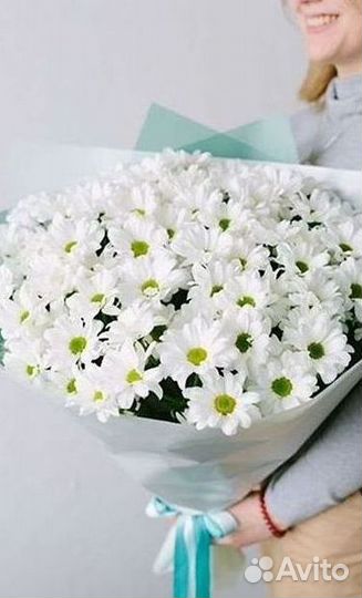 Хризантема Доставка цветов